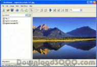 ReaViewer - easy image viewer screenshot